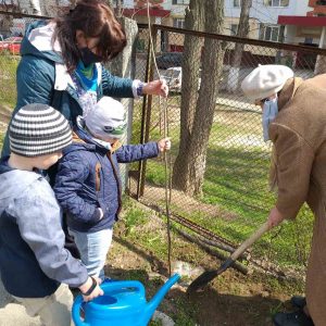 De la MIC la MARE , am plantat în zi cu soare.