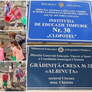 Înverzirea plaiului – 2021!